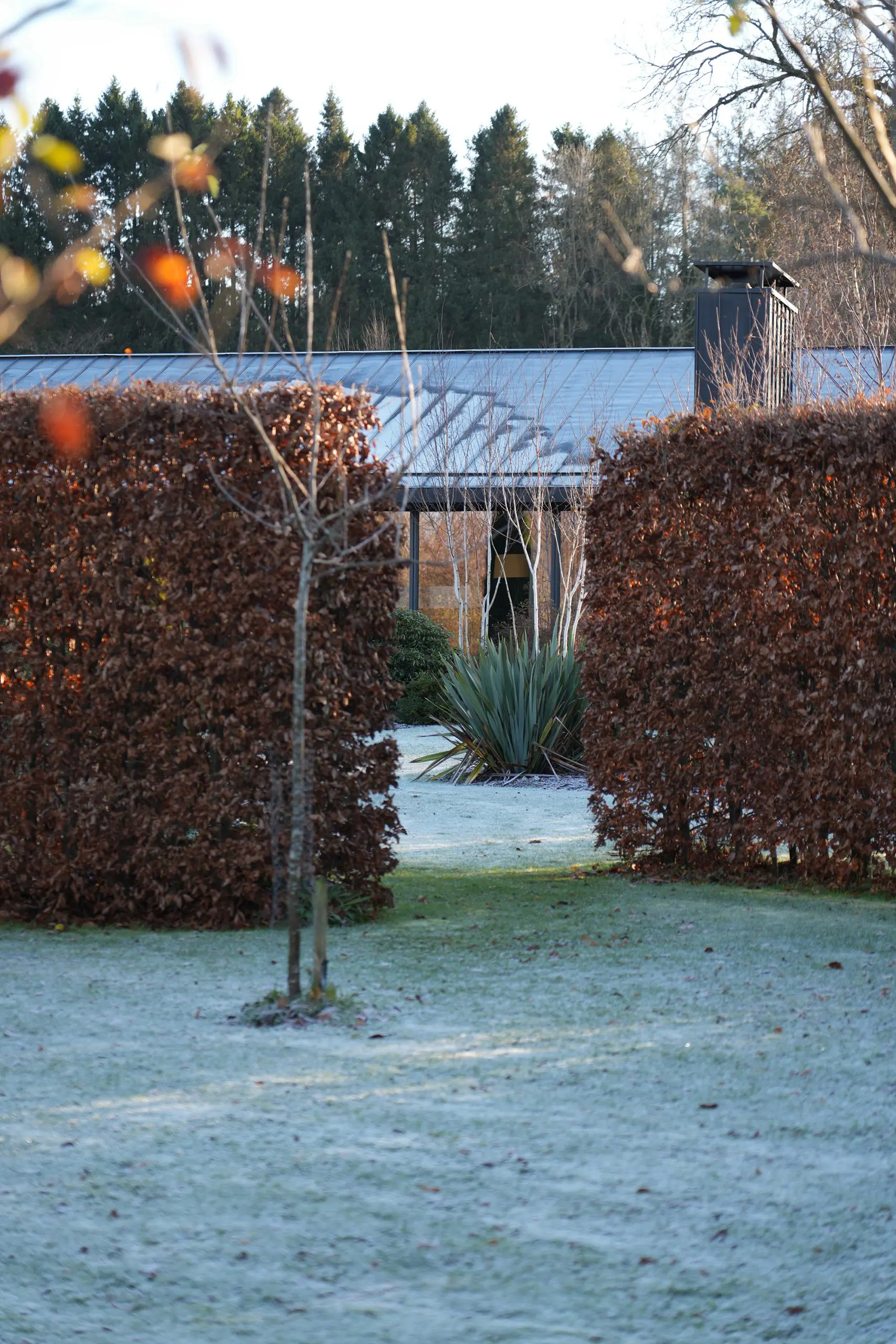 grianan-seasons-autumn-3