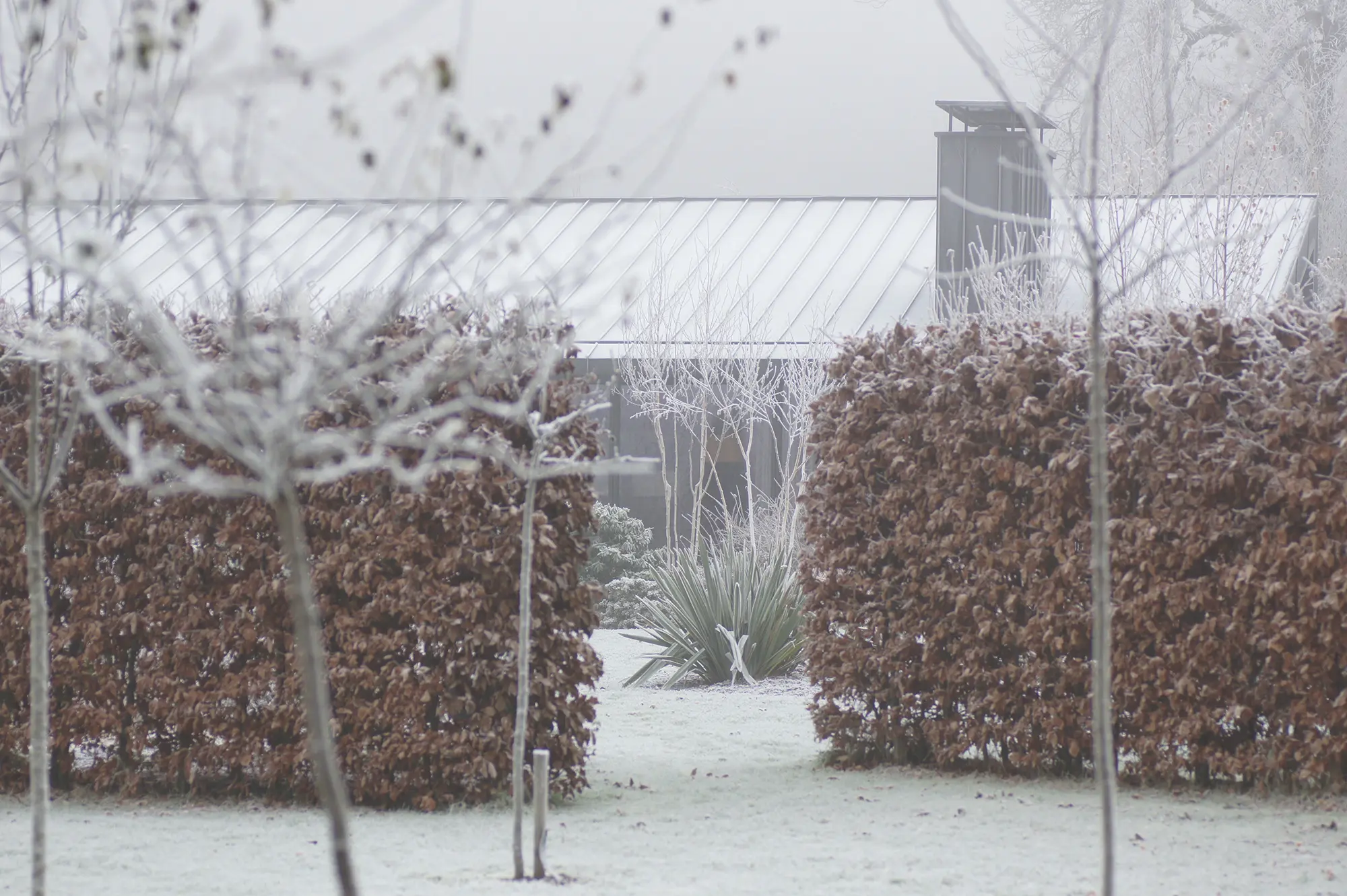 grianan-seasons-winter-2