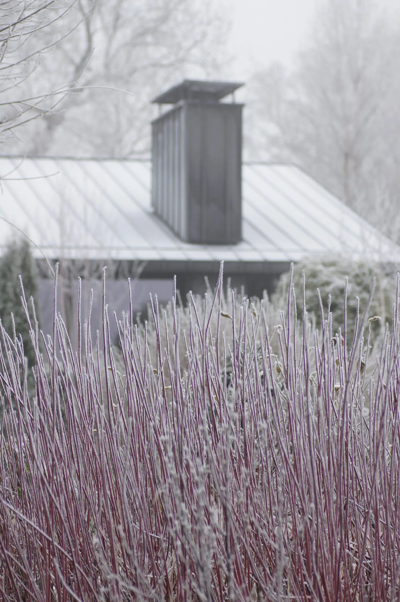grianan-seasons-winter-3
